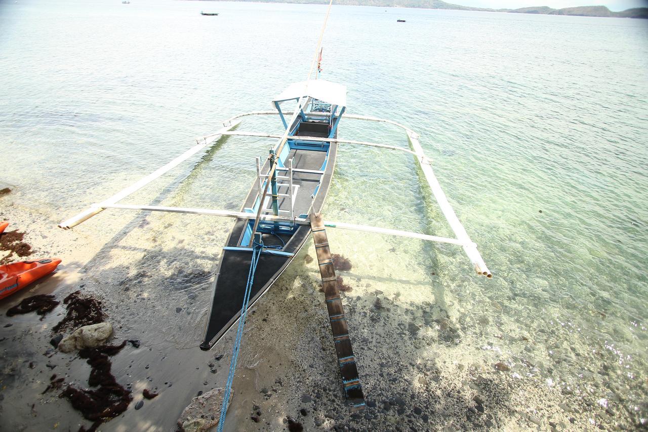 Resort Altamare Dive And Leisure Anilao Mabini (Batangas)